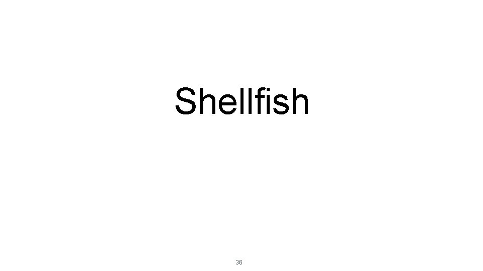 Shellfish 36 