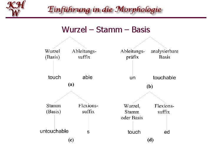 Wurzel – Stamm – Basis 