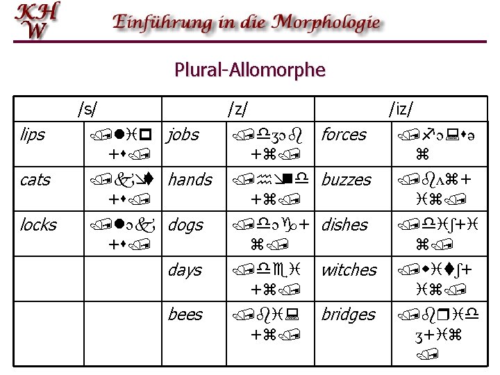 Plural Allomorphe /s/ /z/ /iz/ lips /lip jobs +s/ /dʒɔb +z/ cats /kæt hands