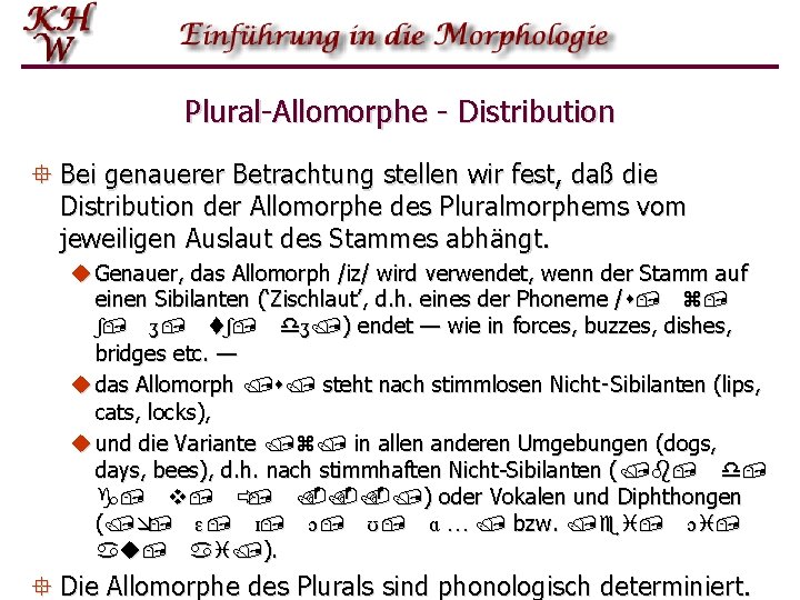 Plural Allomorphe Distribution ° Bei genauerer Betrachtung stellen wir fest, daß die Distribution der