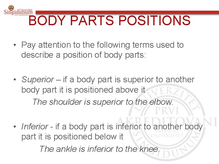 BODY PARTS POSITIONS • Pay attention to the following terms used to describe a