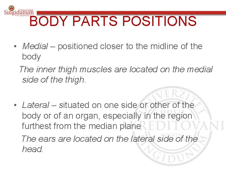 BODY PARTS POSITIONS • Medial – positioned closer to the midline of the body