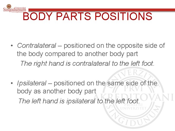 BODY PARTS POSITIONS • Contralateral – positioned on the opposite side of the body