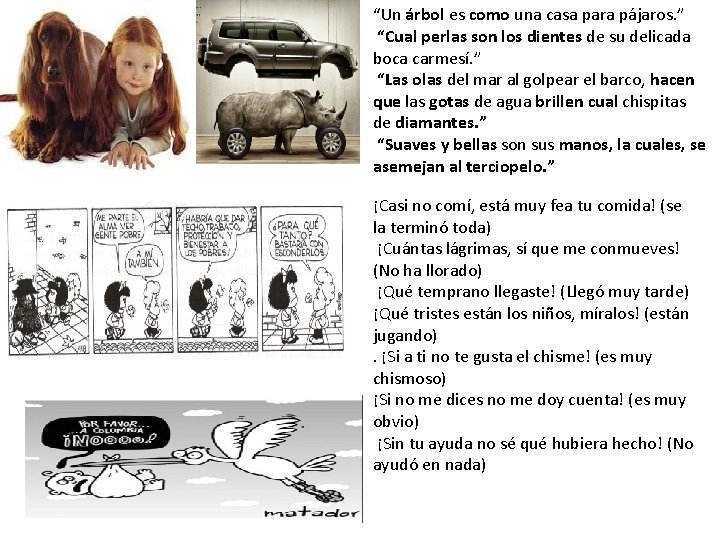 “Un árbol es como una casa para pájaros. ” “Cual perlas son los dientes