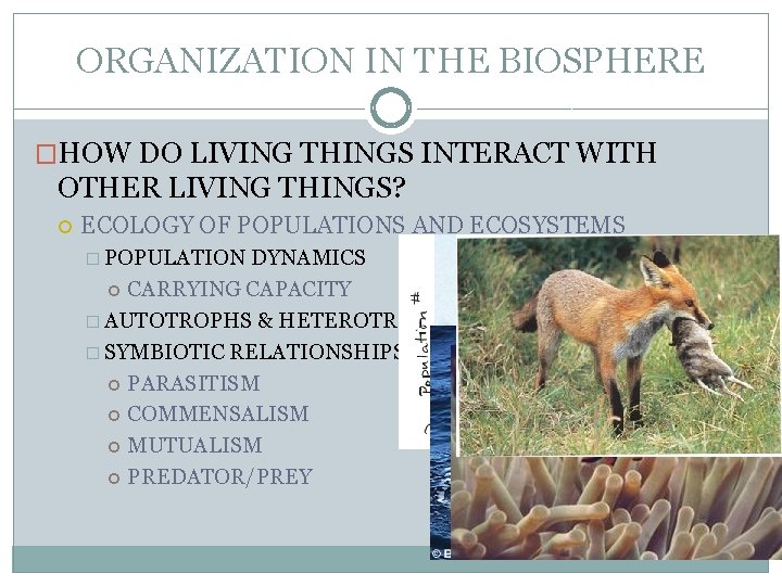 ORGANIZATION IN THE BIOSPHERE �HOW DO LIVING THINGS INTERACT WITH OTHER LIVING THINGS? ECOLOGY