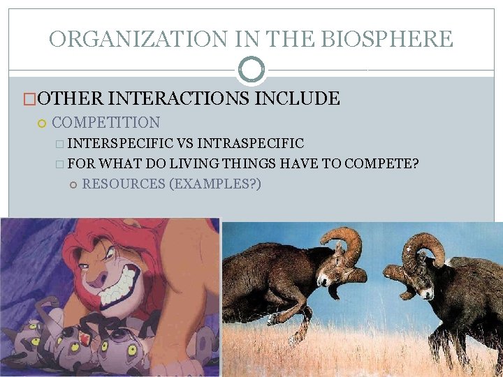 ORGANIZATION IN THE BIOSPHERE �OTHER INTERACTIONS INCLUDE COMPETITION � INTERSPECIFIC VS INTRASPECIFIC � FOR