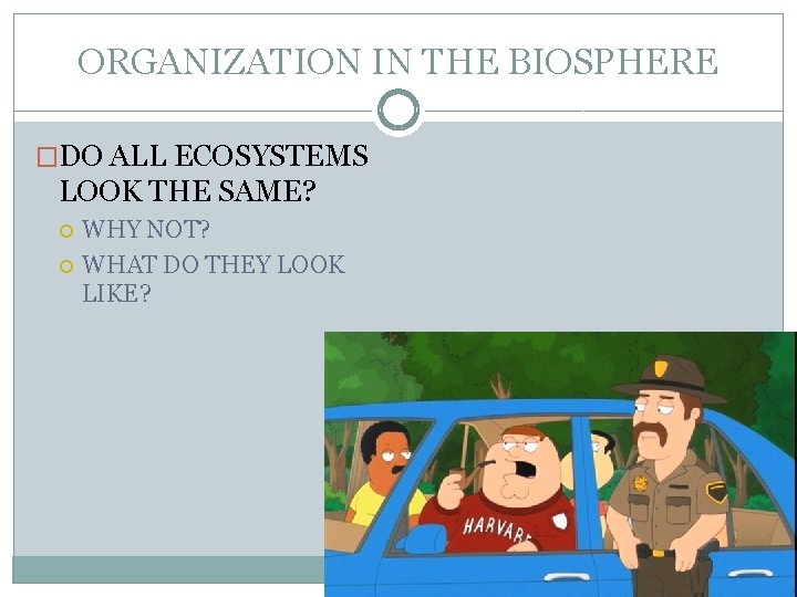 ORGANIZATION IN THE BIOSPHERE �DO ALL ECOSYSTEMS LOOK THE SAME? WHY NOT? WHAT DO