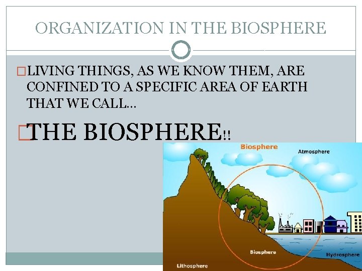 ORGANIZATION IN THE BIOSPHERE �LIVING THINGS, AS WE KNOW THEM, ARE CONFINED TO A