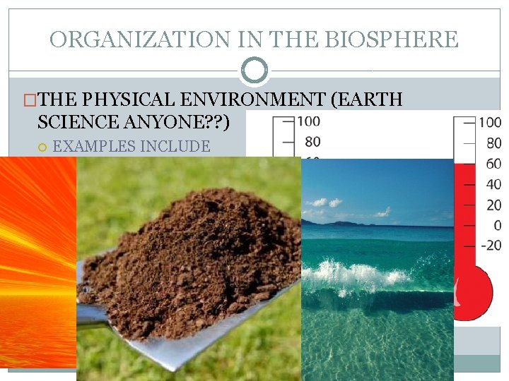 ORGANIZATION IN THE BIOSPHERE �THE PHYSICAL ENVIRONMENT (EARTH SCIENCE ANYONE? ? ) EXAMPLES INCLUDE