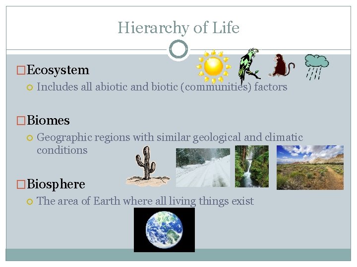 Hierarchy of Life �Ecosystem Includes all abiotic and biotic (communities) factors �Biomes Geographic regions