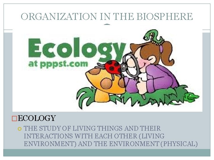 ORGANIZATION IN THE BIOSPHERE �ECOLOGY THE STUDY OF LIVING THINGS AND THEIR INTERACTIONS WITH