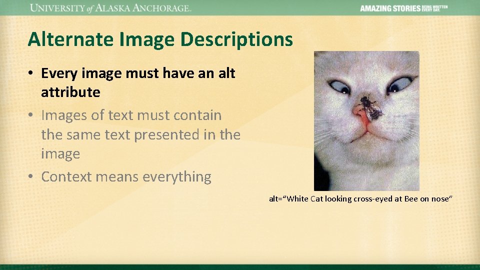 Alternate Image Descriptions • Every image must have an alt attribute • Images of