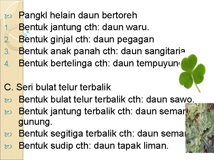  1. 2. 3. 4. Pangkl helain daun bertoreh Bentuk jantung cth: daun waru.