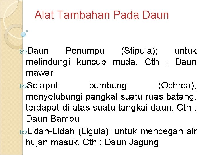 Alat Tambahan Pada Daun Penumpu (Stipula); untuk melindungi kuncup muda. Cth : Daun mawar