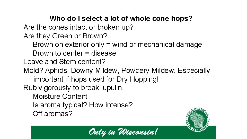 Who do I select a lot of whole cone hops? Are the cones intact