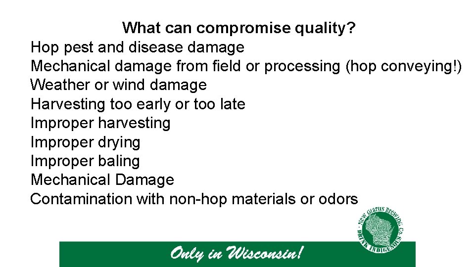What can compromise quality? Hop pest and disease damage Mechanical damage from field or