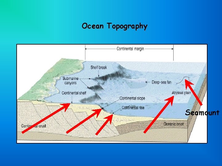 Ocean Topography Seamount 