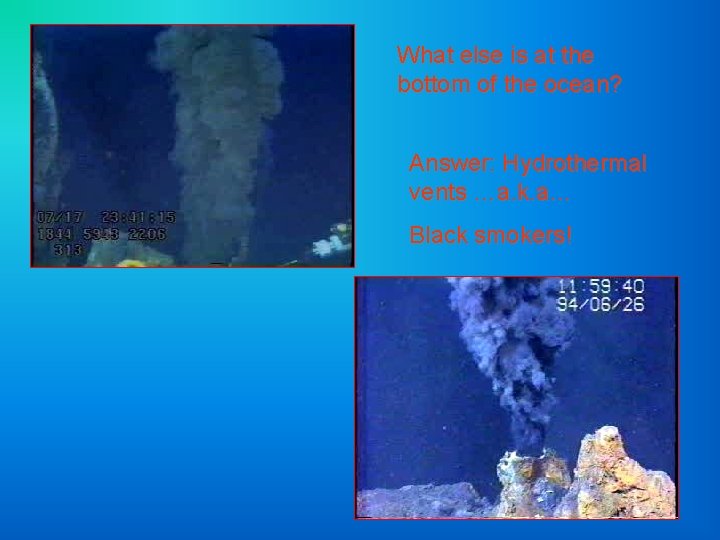 What else is at the bottom of the ocean? Answer: Hydrothermal vents …a. k.