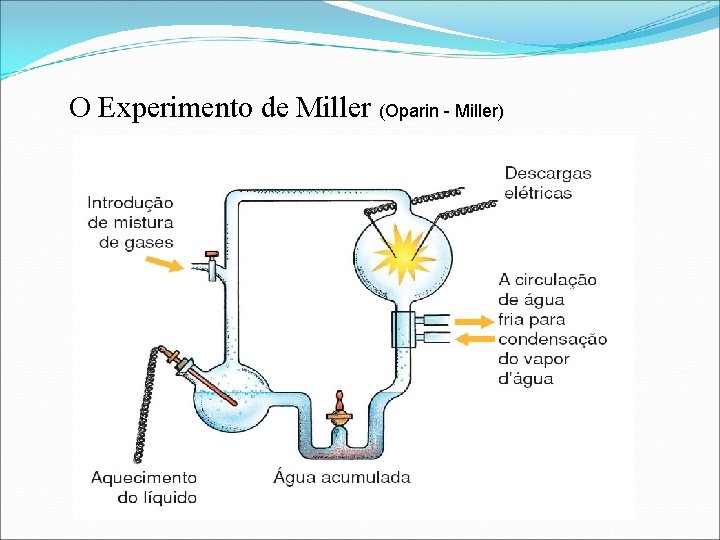 O Experimento de Miller (Oparin - Miller) 