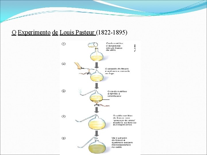 O Experimento de Louis Pasteur (1822 -1895) 