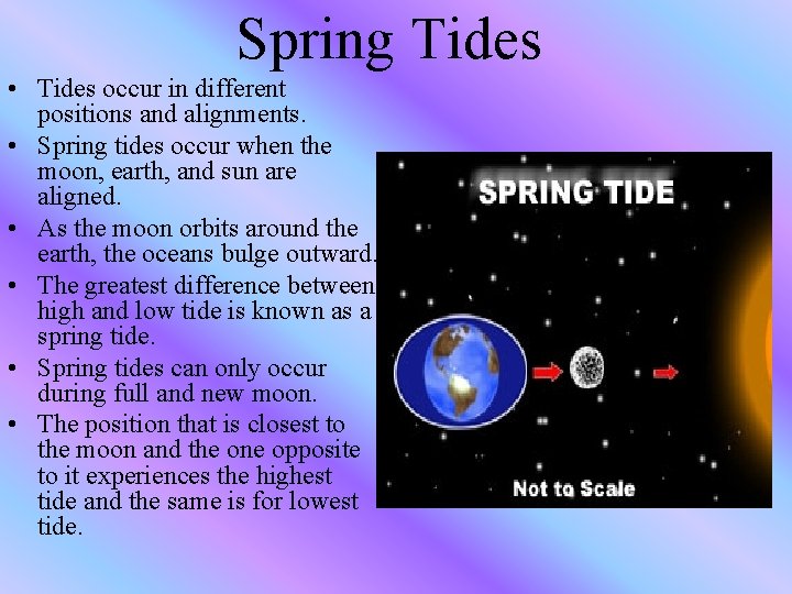 Spring Tides • Tides occur in different positions and alignments. • Spring tides occur