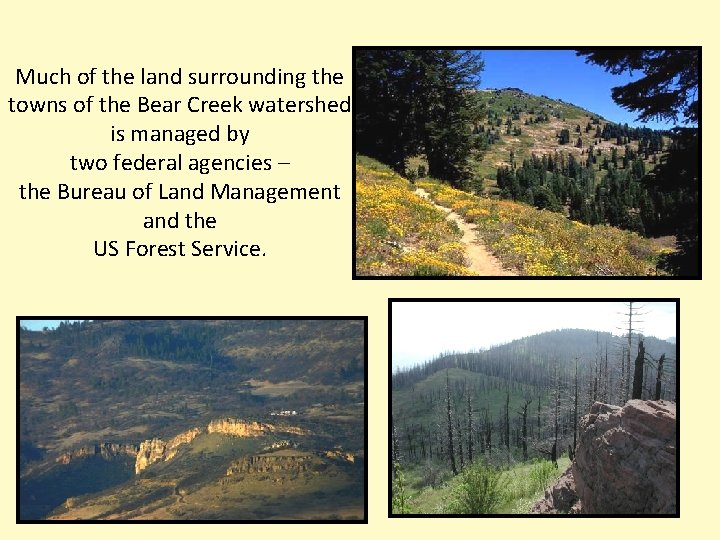 Much of the land surrounding the towns of the Bear Creek watershed is managed