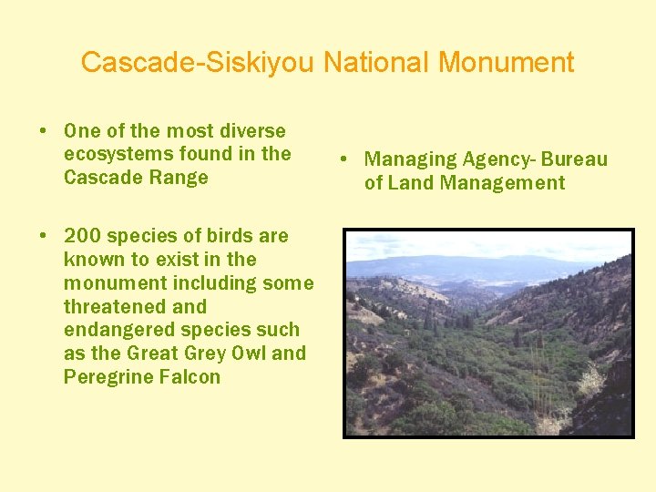 Cascade-Siskiyou National Monument • One of the most diverse ecosystems found in the Cascade