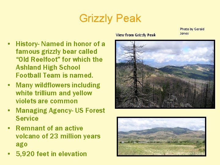 Grizzly Peak View from Grizzly Peak • History- Named in honor of a famous