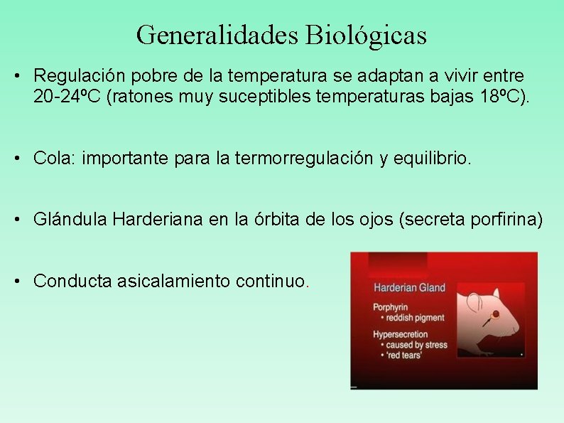 Generalidades Biológicas • Regulación pobre de la temperatura se adaptan a vivir entre 20