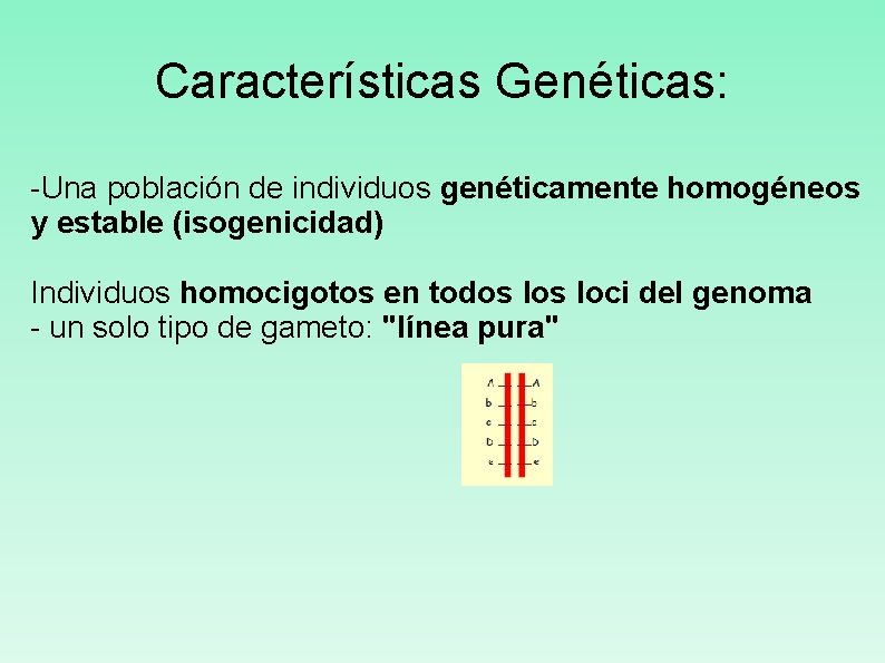 Características Genéticas: -Una población de individuos genéticamente homogéneos y estable (isogenicidad) Individuos homocigotos en