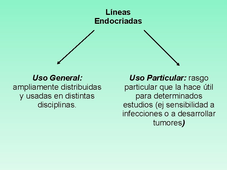 Líneas Endocriadas Uso General: ampliamente distribuidas y usadas en distintas disciplinas. Uso Particular: rasgo