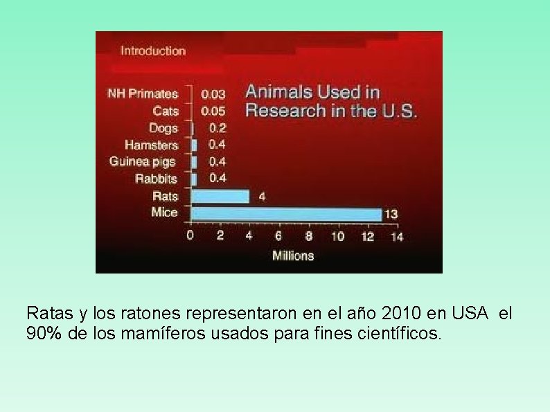 Ratas y los ratones representaron en el año 2010 en USA el 90% de