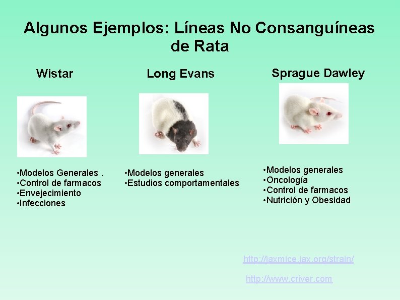 Algunos Ejemplos: Líneas No Consanguíneas de Rata Wistar • Modelos Generales. • Control de