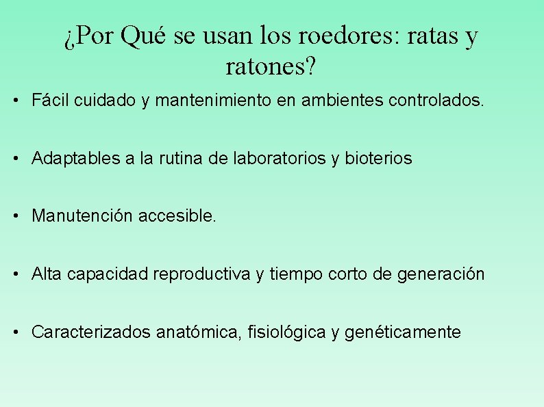 ¿Por Qué se usan los roedores: ratas y ratones? • Fácil cuidado y mantenimiento
