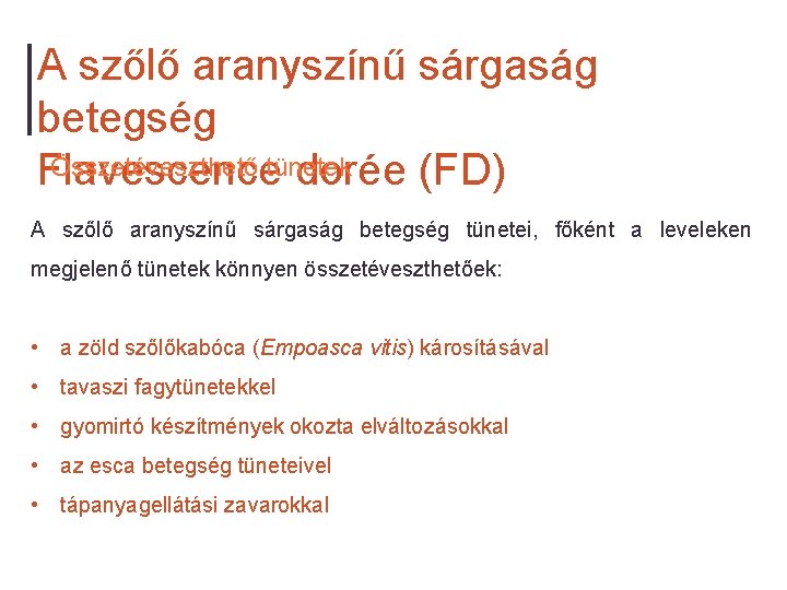 A szőlő aranyszínű sárgaság betegség Összetéveszthető tünetek Flavescence dorée (FD) A szőlő aranyszínű sárgaság