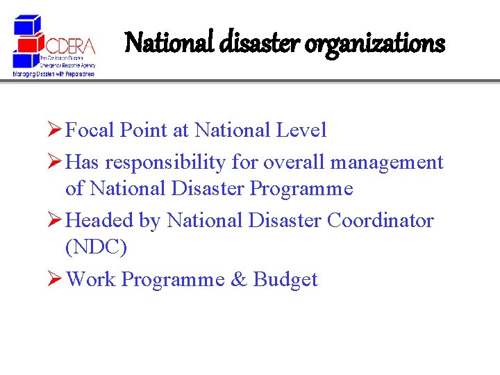 National disaster organizations Ø Focal Point at National Level Ø Has responsibility for overall