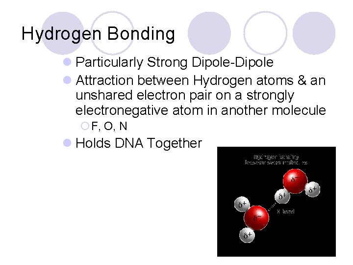 Hydrogen Bonding l Particularly Strong Dipole-Dipole l Attraction between Hydrogen atoms & an unshared