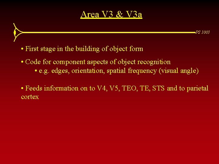 Area V 3 & V 3 a PS 1003 • First stage in the