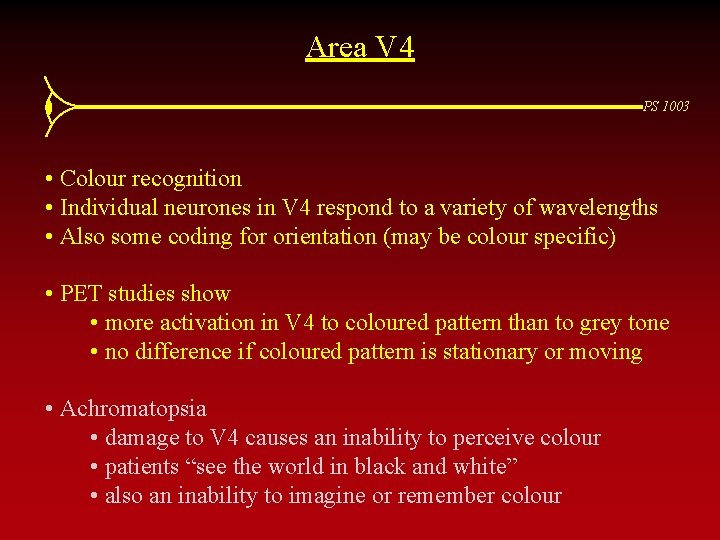 Area V 4 PS 1003 • Colour recognition • Individual neurones in V 4