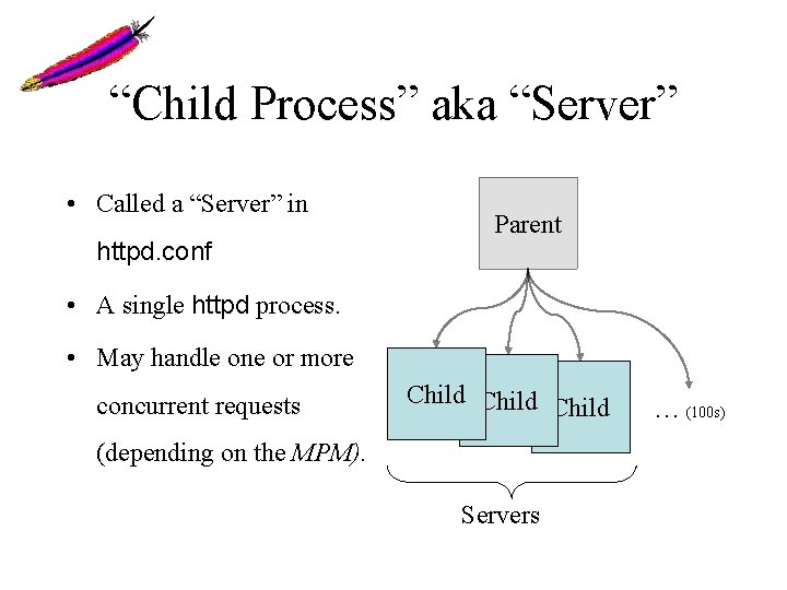 “Child Process” aka “Server” • Called a “Server” in httpd. conf Parent • A