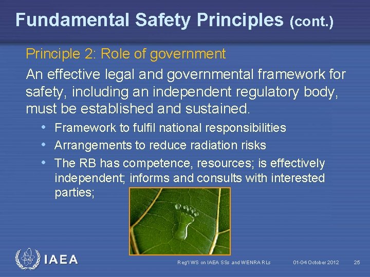 Fundamental Safety Principles (cont. ) Principle 2: Role of government An effective legal and