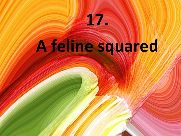17. A feline squared 
