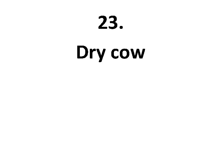 23. Dry cow 