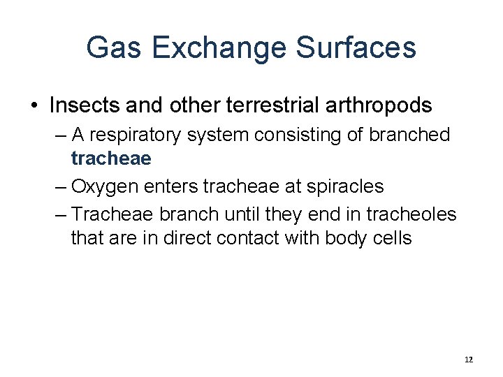 Gas Exchange Surfaces • Insects and other terrestrial arthropods – A respiratory system consisting