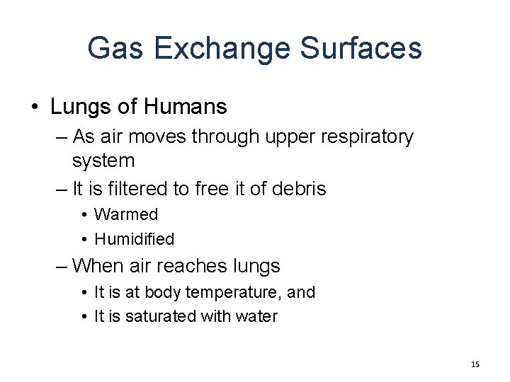 Gas Exchange Surfaces • Lungs of Humans – As air moves through upper respiratory
