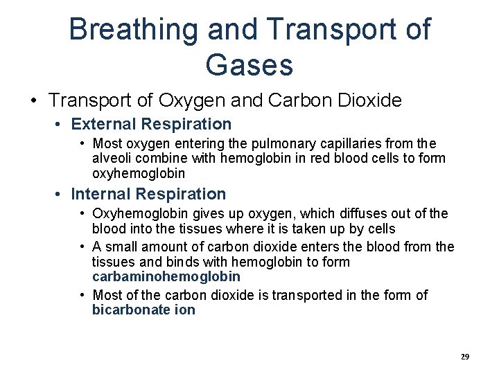 Breathing and Transport of Gases • Transport of Oxygen and Carbon Dioxide • External