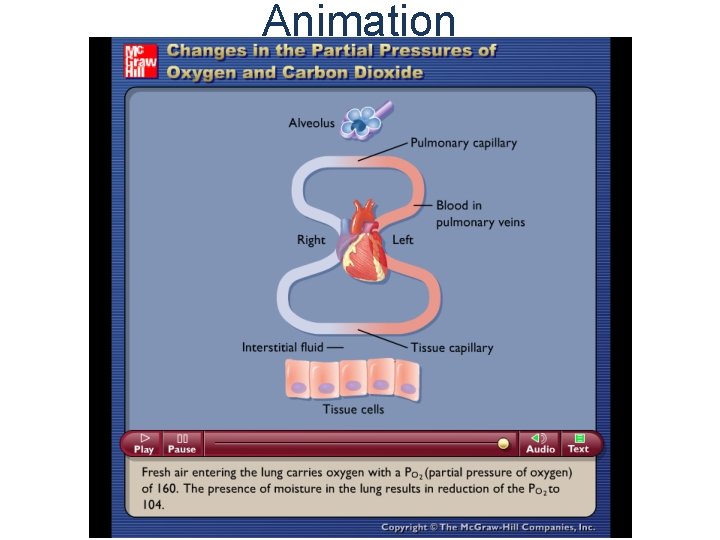 Animation Please note that due to differing operating systems, some animations will not appear