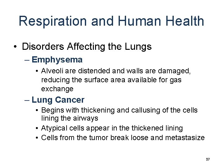 Respiration and Human Health • Disorders Affecting the Lungs – Emphysema • Alveoli are