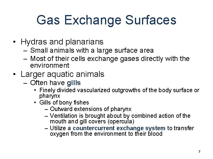 Gas Exchange Surfaces • Hydras and planarians – Small animals with a large surface