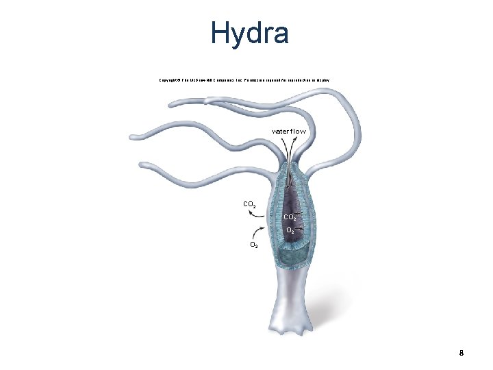Hydra Copyright © The Mc. Graw-Hill Companies, Inc. Permission required for reproduction or display.